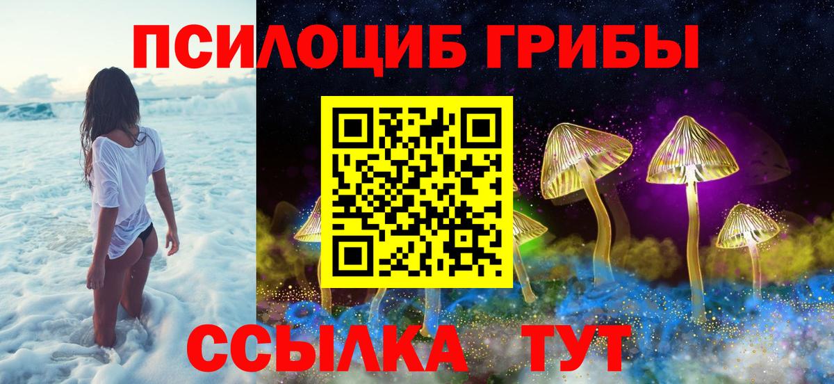 Галлюциногенные грибы GOLDEN TEACHER Альметьевск
