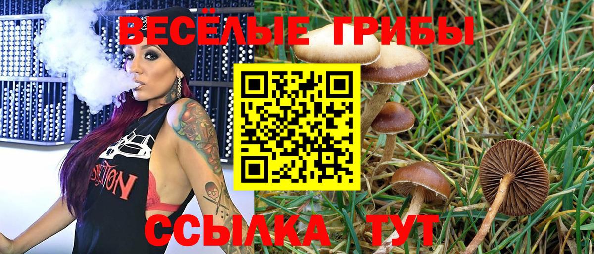 купить наркоту  Псилоцибиновые грибы прущие грибы  Вход с VPN  Галлюциногенные грибы Cubensis  Альметьевск 